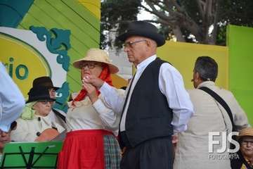 Folclore, artesanía, zumba y fotografía se dan la mano en Los Llanos (Foto Francisco Javier Santana y TA)
